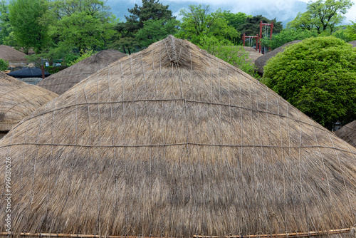 thatched roof of a house