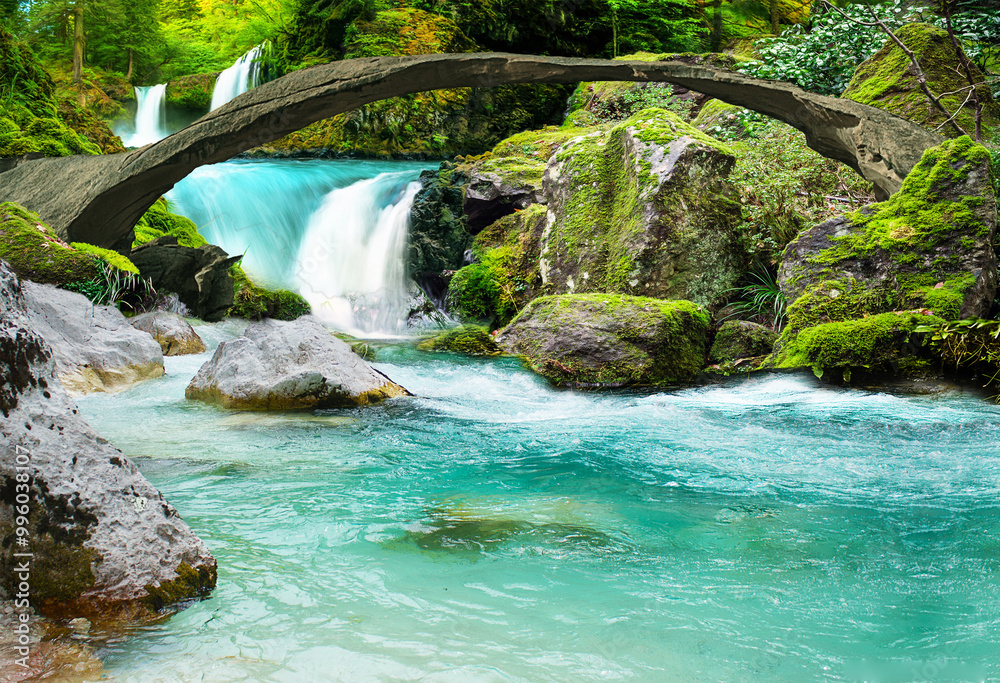 Naklejka premium BACH #23941.2