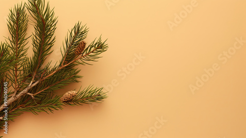 Top view of tree branches with Christmas ornaments and details on a tan background