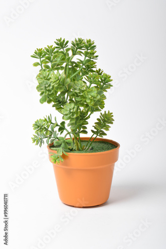 Beautiful artificial plants in flower pots isolated on white background. Fake plastic green potted houseplant