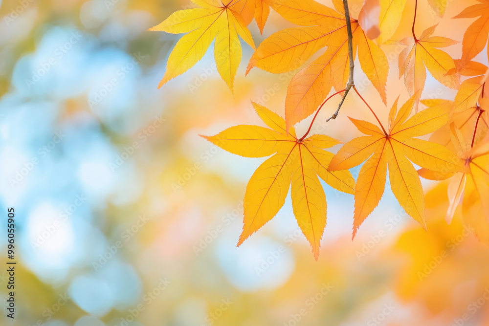 Bright orange and yellow autumn leaves on branch with blurred bokeh background Bright orange and yellow autumn leaves on branch with blurred bokeh background