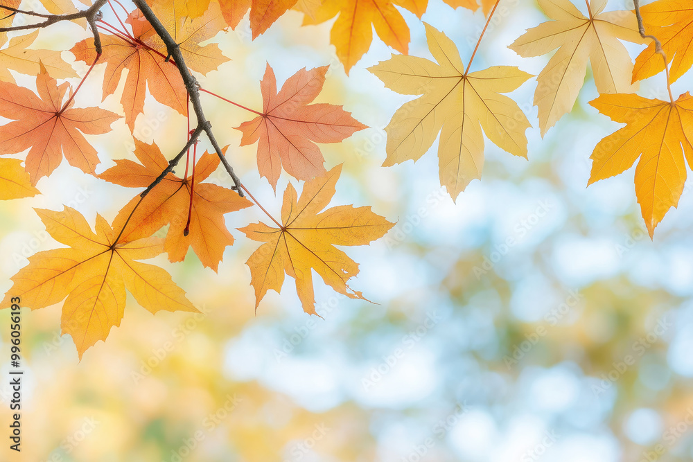 Branch with autumn leaves, yellow and orange foliage, blurred background for seasonal design Branch with autumn leaves, yellow and orange foliage, blurred background for seasonal design