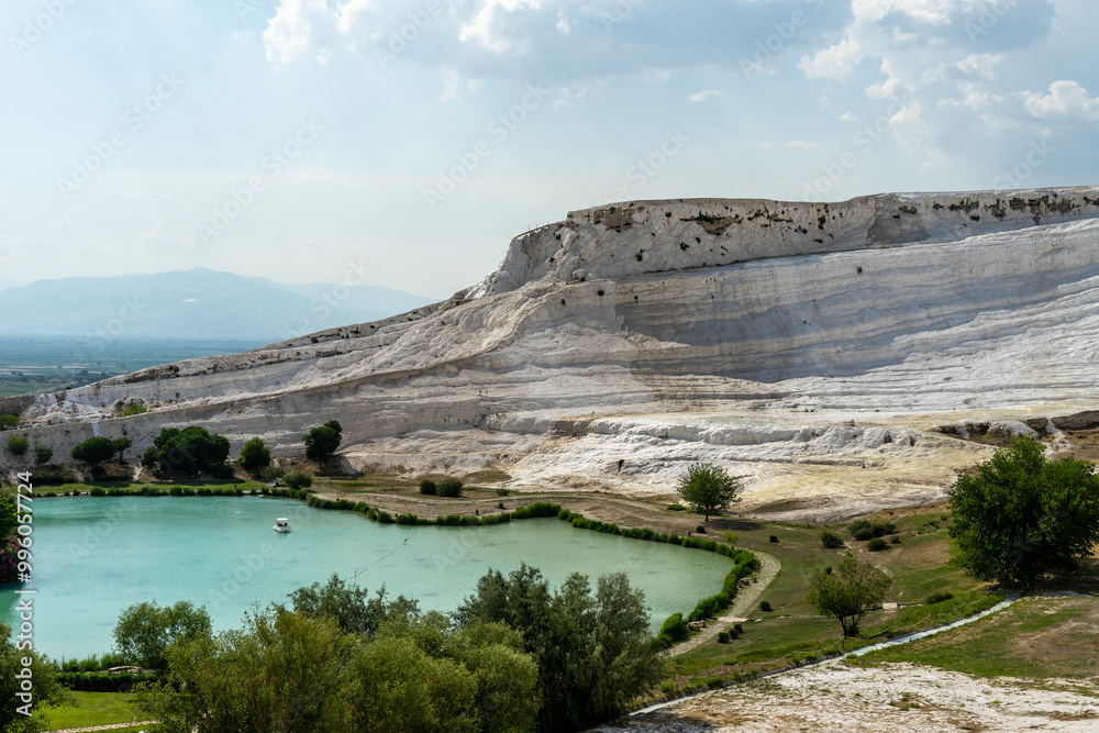 Oasis in the salt desert