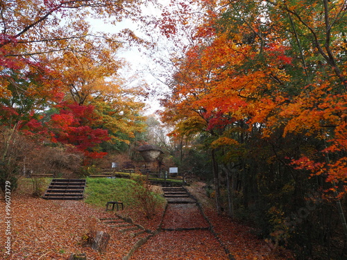 恵那峡、天然記念物「笠岩」 photo