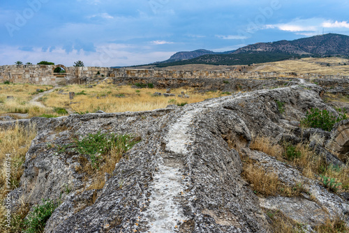 Empty road in a national park in Turkiye