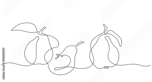 Graphic isolated drawing of pears in vector with one line