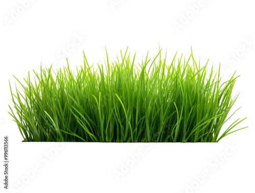 a close up of grass