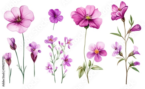 Wallpaper Mural Set of pink and purple wildflowers, watercolor clipart with a white background. Torontodigital.ca