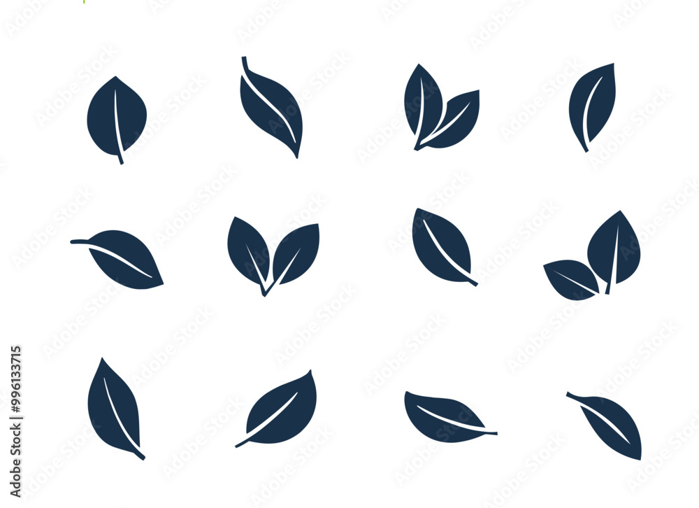 Collections of Green Leaves Icon. leaf icon for natural, eco, bio, organic product, vegan label, herbal nature elements, fresh tree and plant. isolated in white background in vector SVG illustration Collections of Green Leaves Icon. leaf icon for natural, eco, bio, organic product, vegan label, herbal nature elements, fresh tree and plant. isolated in white background in vector SVG illustration
