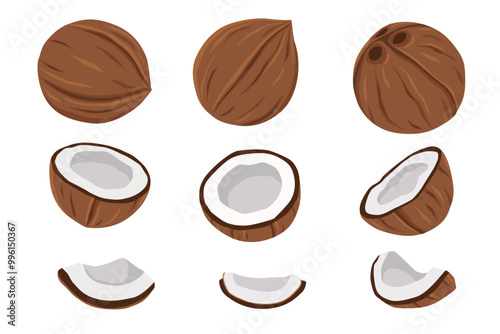 Coconuts and coconut half with leaves isolated on a white background. Vector illustration cartoon flat coconut icon isolated on white background.	 photo