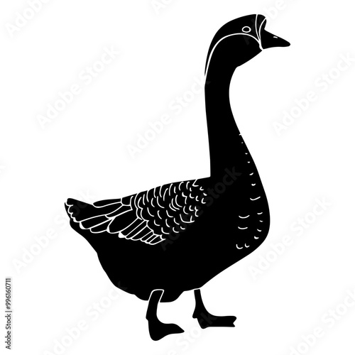 illustration of a goose