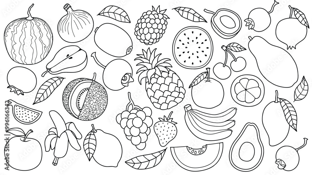 Doodle fruit set. vector fruits in sketch style.
