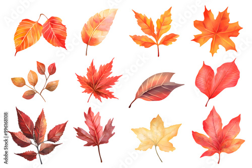 Autumn yellow leaves watercolor collection isolated on transparent background