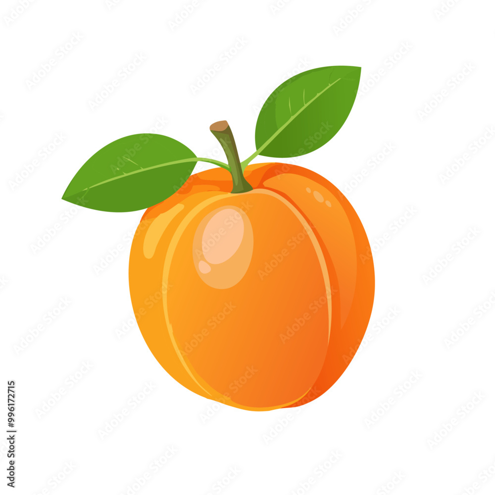 Apricot Fruit Vector Illustration with Leaf Apricot Fruit Vector Illustration with Leaf
