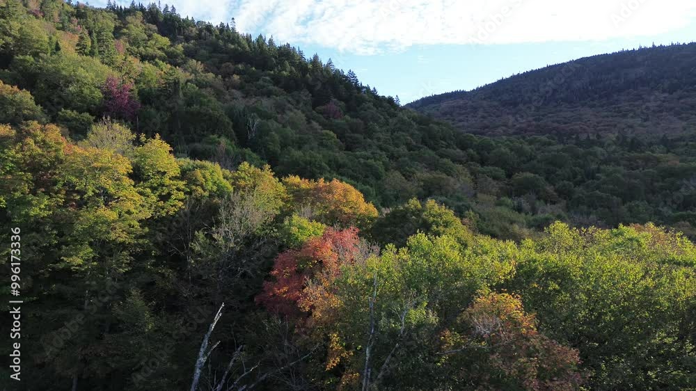 paysage de montagnes en automne
