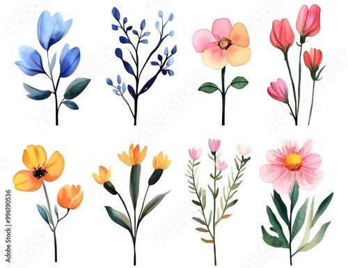 Watercolor flower clipart collection, simple flat design, white background, pastel colors, watercolor