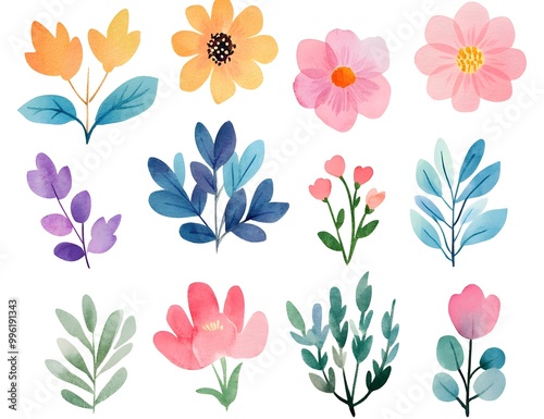 Watercolor flower clipart collection, simple flat design, white background, pastel colors, watercolor 