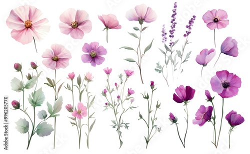 Wallpaper Mural Watercolor wild flower clipart, pink and purple flowers on a white background, in different angles and poses.  Torontodigital.ca