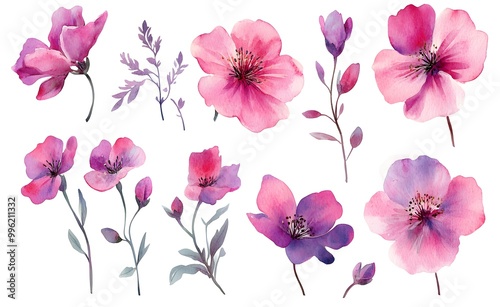 Wallpaper Mural Watercolor wild flower clipart, pink and purple flowers on a white background, in different angles and poses.  Torontodigital.ca