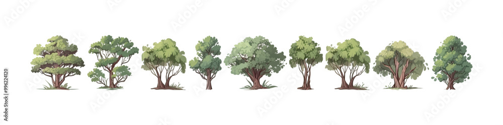 Fototapeta premium Tree vector collection. Forest illustration element.
