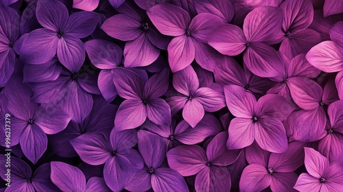 purple pattern 