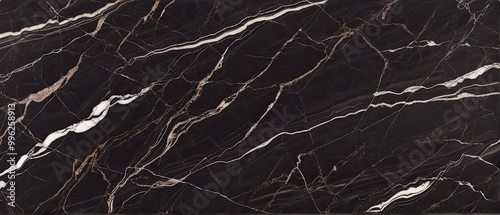 Black Marble Texture with White Veins