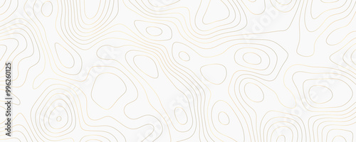 Luxury Topography Illustration with Gold Contour Lines and Geometric Grid Patterns for a Digital Nature Travel Wallpaper 