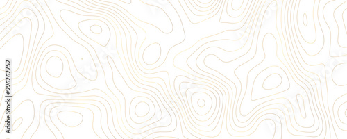 Abstract Geometric Topography Design with Distorted Gold Lines and Curves for a Digital Terrain Wallpaper 