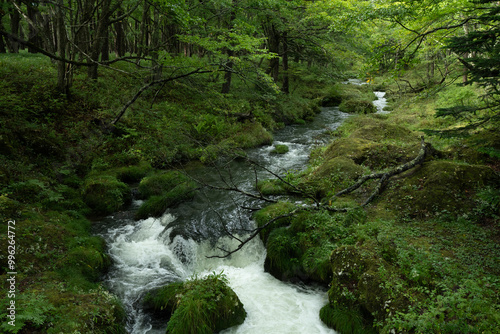 湯川