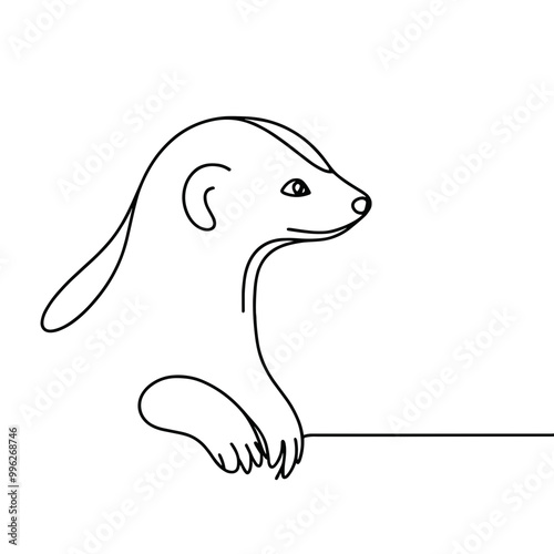 A black and white drawing of a small animal with a long tail. The animal has a long snout and is looking at the camera