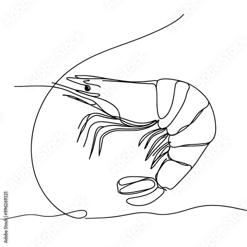 A shrimp is shown in a black and white drawing. The shrimp is curled up and he is in a watery environment. The drawing has a simple, clean style that emphasizes the shrimp's form and texture