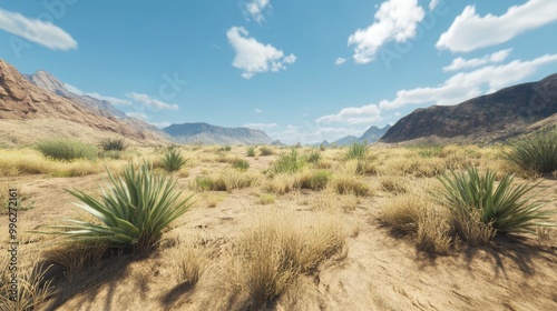 A wide-angle view of desert vegetation, including sparse grasses and succulents, struggling to survive in arid conditions.