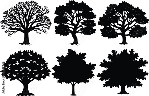 Set of different types Oak tree icon isolated on white background.