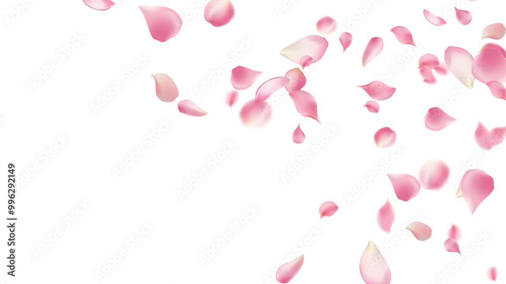 Rose petals or sakura flying petals, romantic background with realistic pink cherry flower petals flow or falling motion. Love, romance, floral spring season,cherry blossom Rose petals or sakura flying petals, romantic background with realistic pink cherry flower petals flow or falling motion. Love, romance, floral spring season,cherry blossom