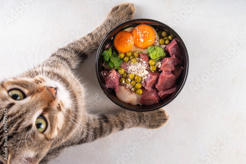 Cuadro en lienzo BARF (Biologically Appropriate Raw Food) food concept, Healthy bowl for domestic pets background with cat cute tabby kitten paws in pic