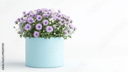Bouquet of asters in a ligh...
