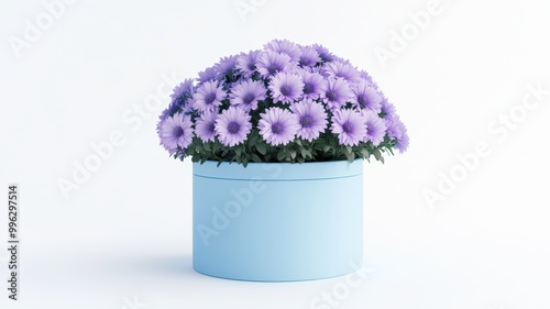 Bouquet of asters arranged ...