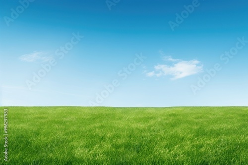 Perfect green lawn backgrounds outdoors horizon.