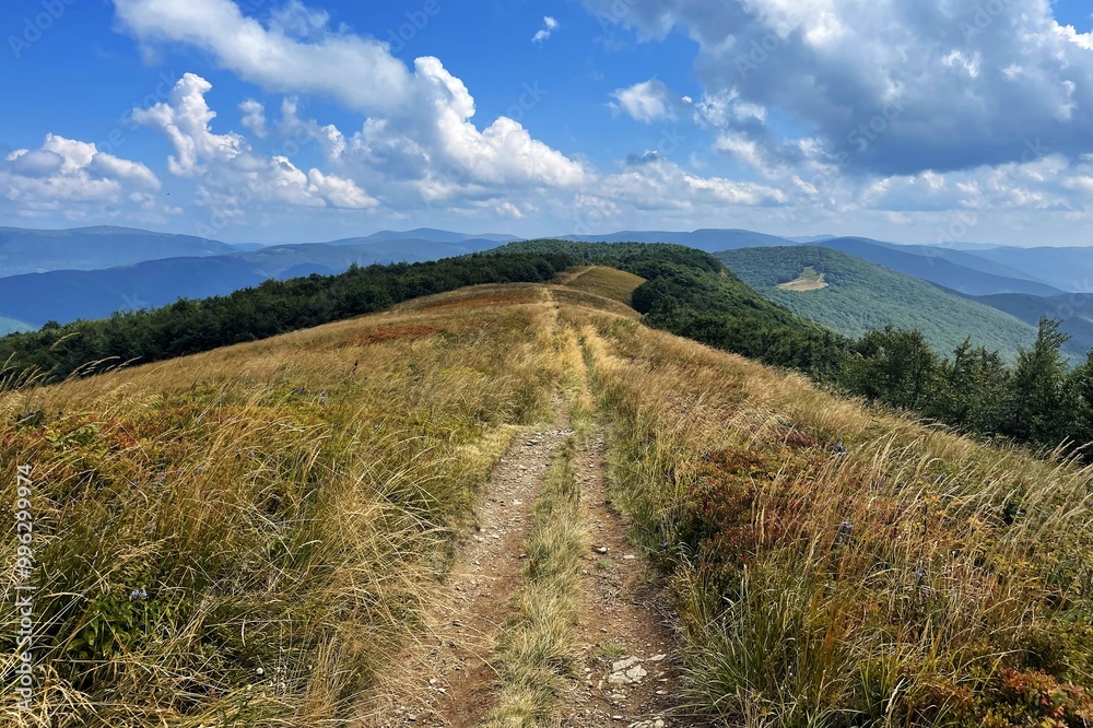 Wędrówka w Bieszczady