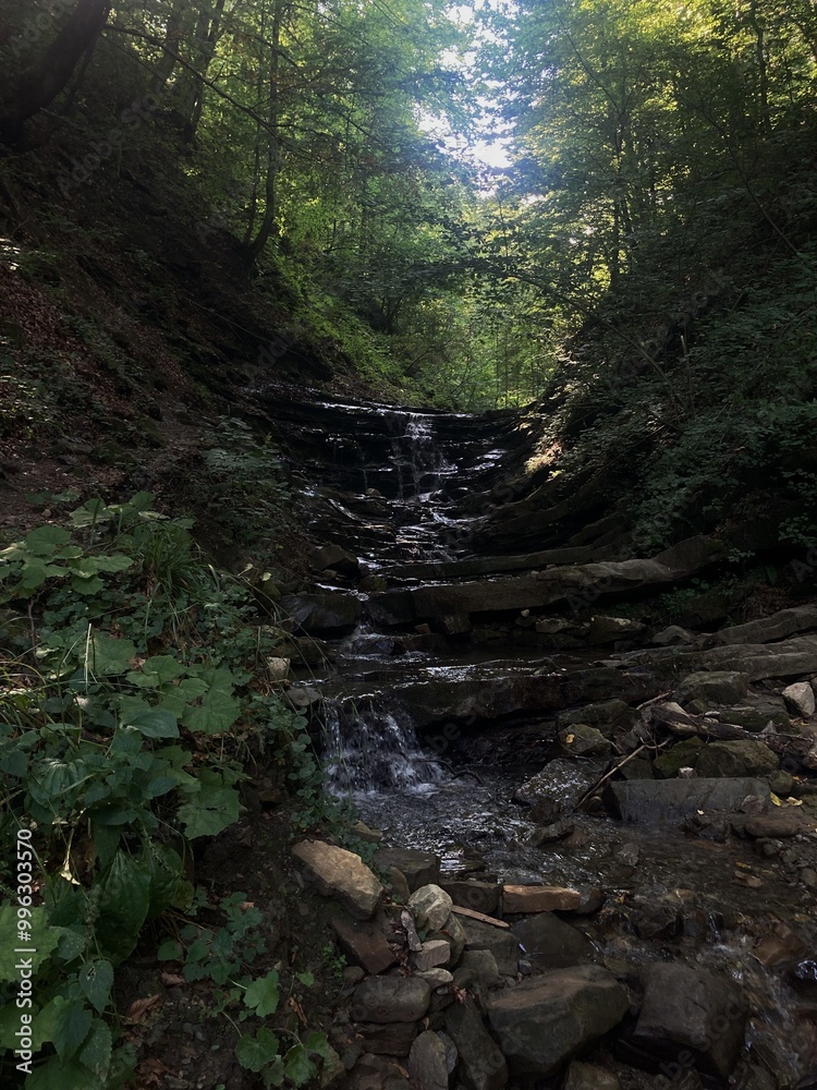 stream in the woods