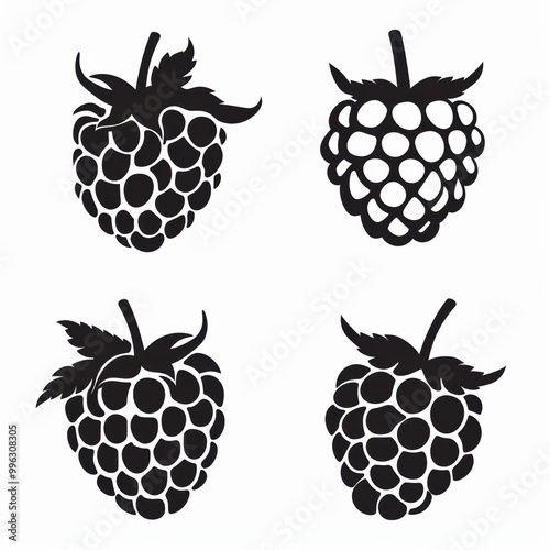 Vector illustration icon of rasberry photo