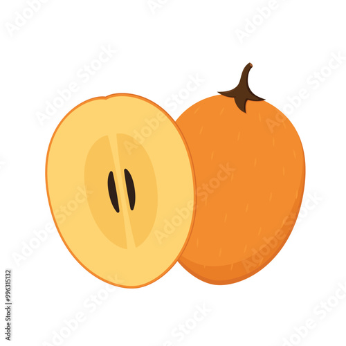 Sapodilla isolated on a white background. Vector illustration.
