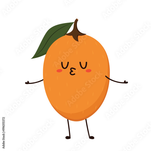 Sapodilla isolated on a white background. Vector illustration, sapodilla character vector.