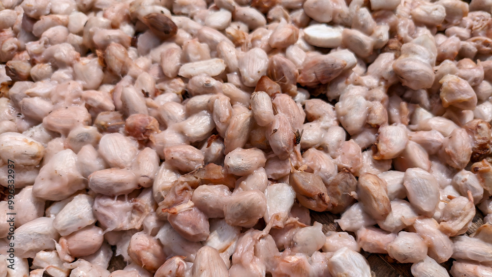 Selective focus on wet or raw cocoa beans that are dried in the sun by farmers.Theobroma cacao, are used to make chocolate liquor, cocoa butter and chocolate. Selective focus on wet or raw cocoa beans that are dried in the sun by farmers.Theobroma cacao, are used to make chocolate liquor, cocoa butter and chocolate.