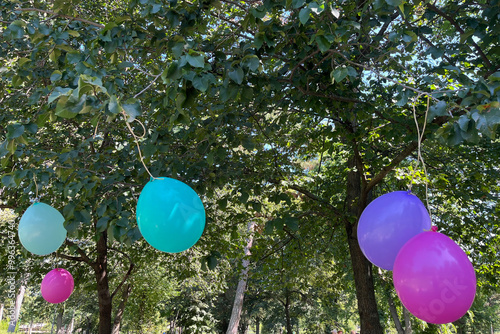 colorful balloons hanging from tree branches