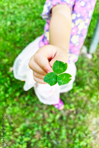child holding three-leaf clover in hand
