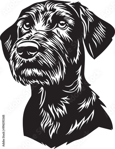 German Wirehaired Pointer dog portrait