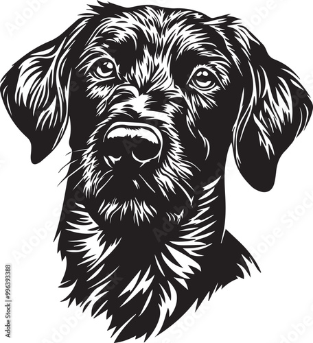 lovely German Wirehaired Pointer dog