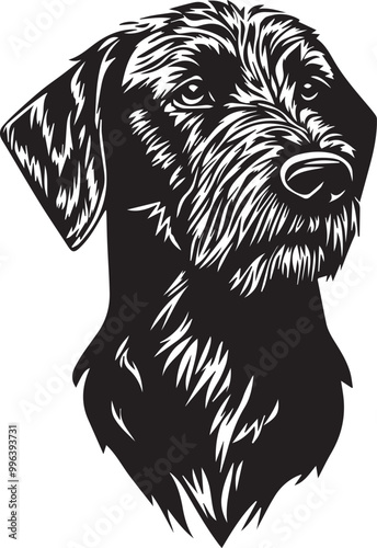 portrait of a German Wirehaired Pointer dog