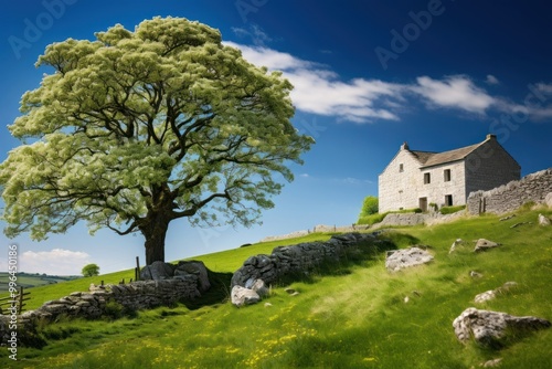 Small white english farmhouse tree architecture landscape.